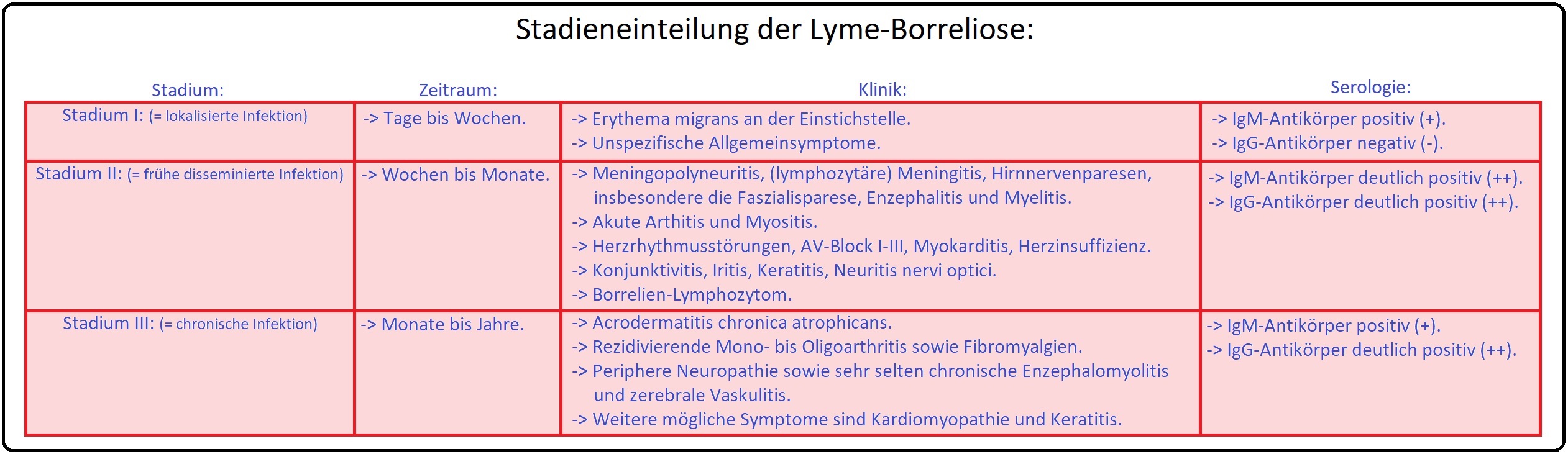004 Stadieneinteilung der Lyme Borreliose