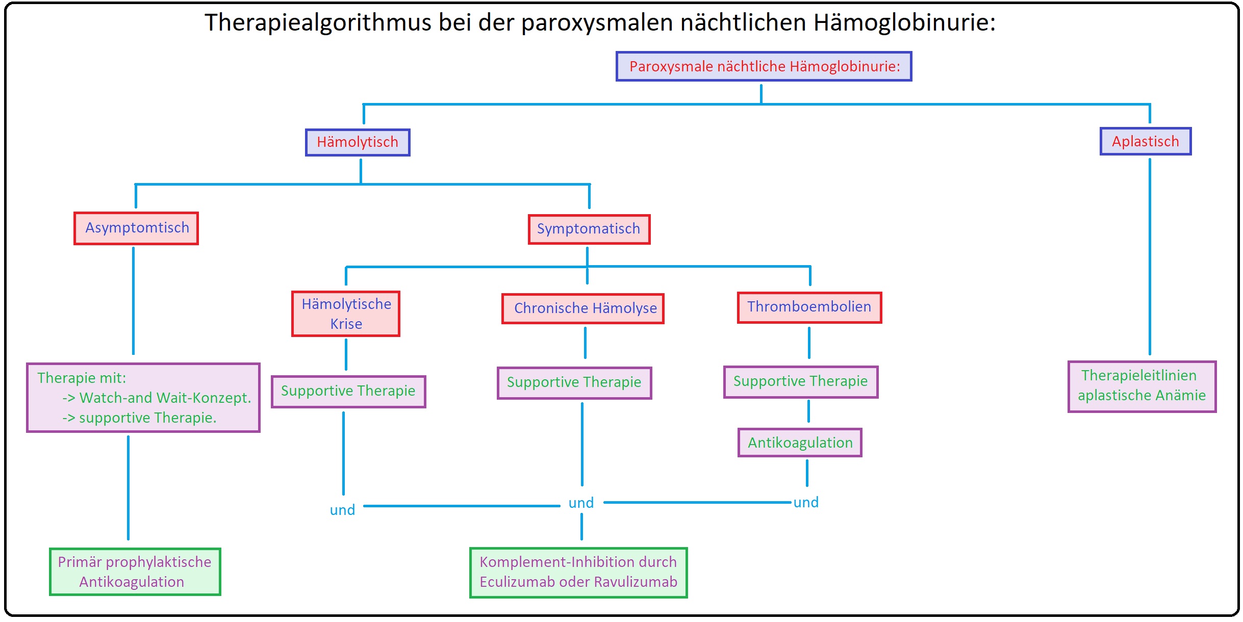 1196 Therapiealgorithmus bei der paroxysmalen nächtlichen Hämoglobinurie
