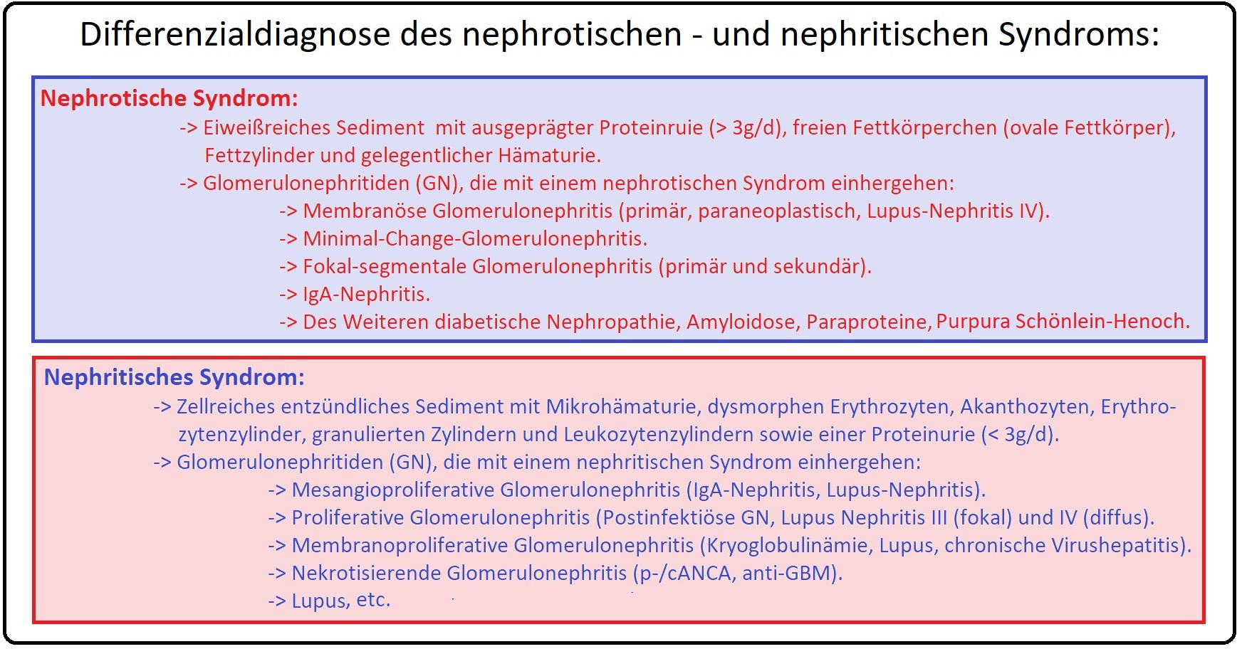 008 Differenzialdiagnose des nephrotischen   und nephritischen Syndroms