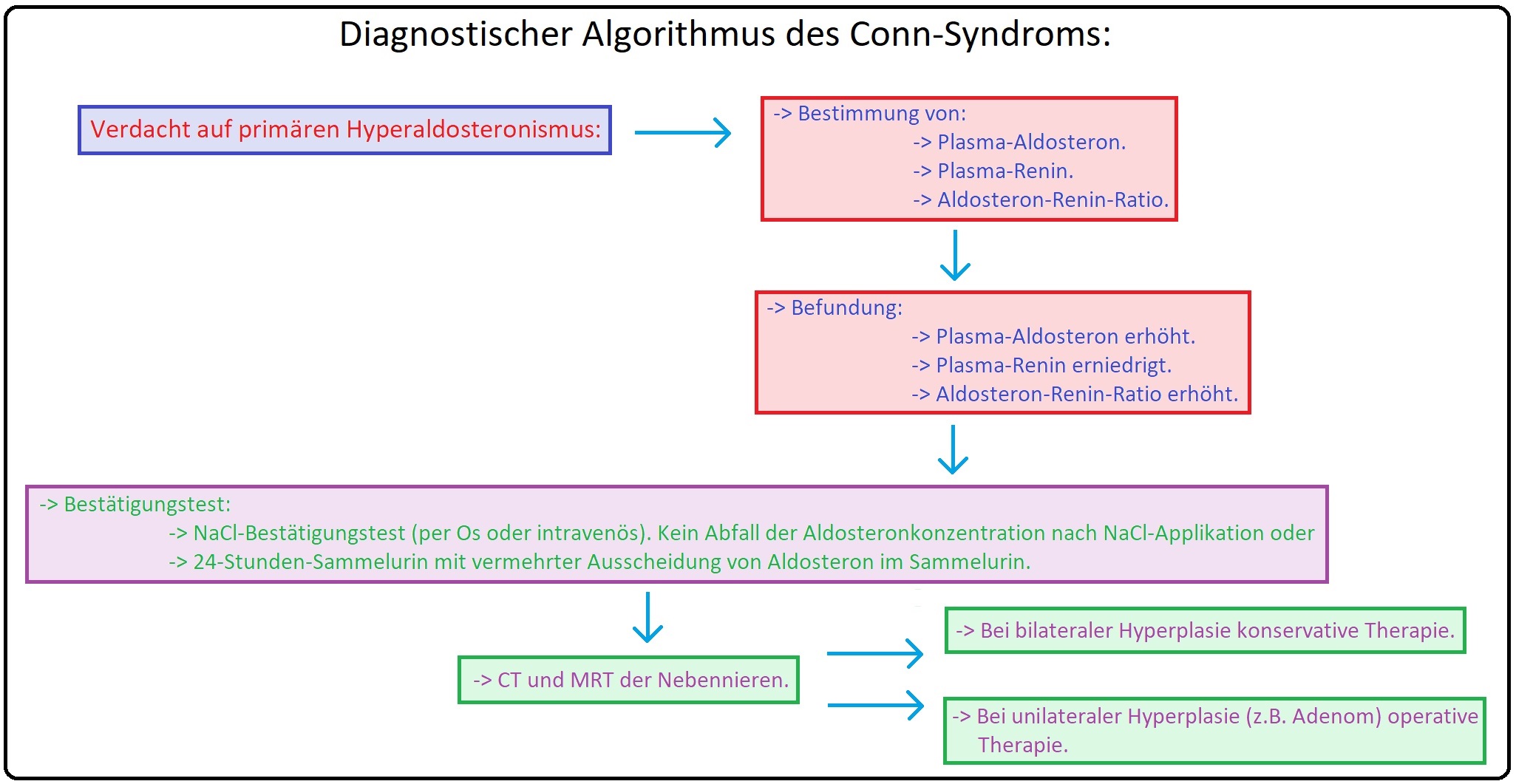 1077 Diagnostischer Algorithmus des Conn Syndroms