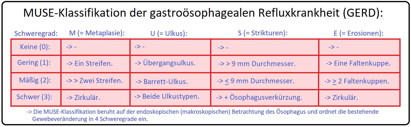 1285 MUSE Klassifikation der gastroösophagealen Refluxkrankheits
