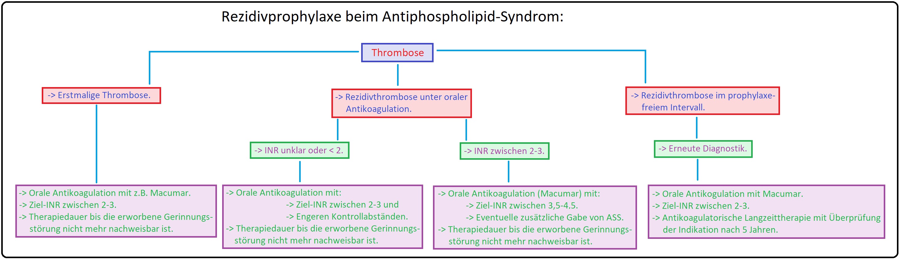 1109 Rezidivprophylaxe beim Antiphospholipid Syndrom