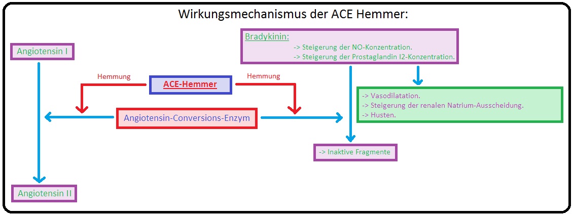 075 Wirkungsmechanismus der ACE Hemmer