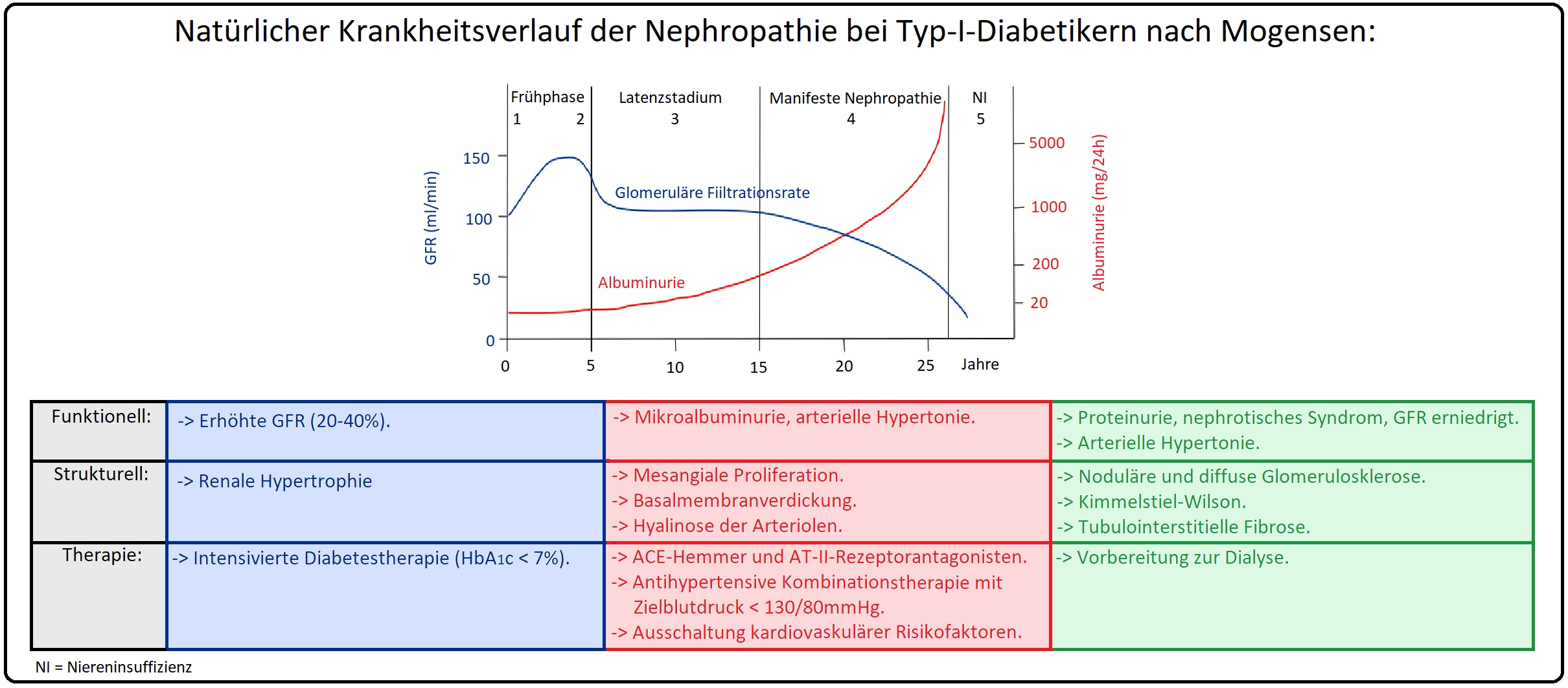 1136 Natürlicher Krankheitsverlauf der Nephropathie bei Typ I Diabetikern nach Mogensen