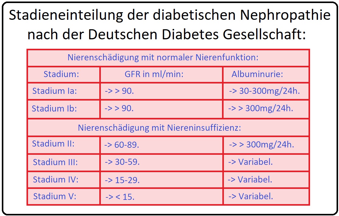 1141 Stadieneinteilung der diabetischen Nephropathie nach der deutschen Diabetes Gesellschaft