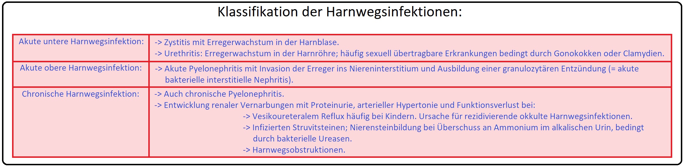 1147 Klassifikation der Harnwegsinfektionen