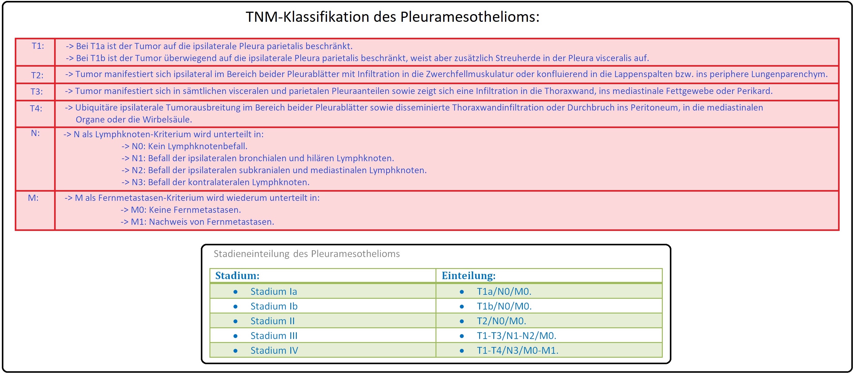 1064 TNM Klassifikation des Pleuramesothelions