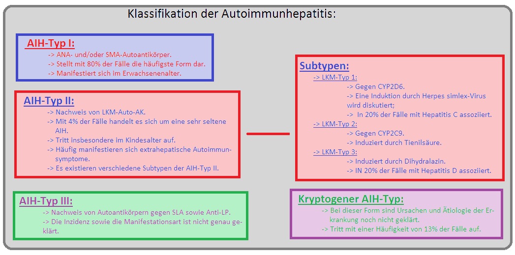 305 Klassifikation der Autoimmunhepatitis