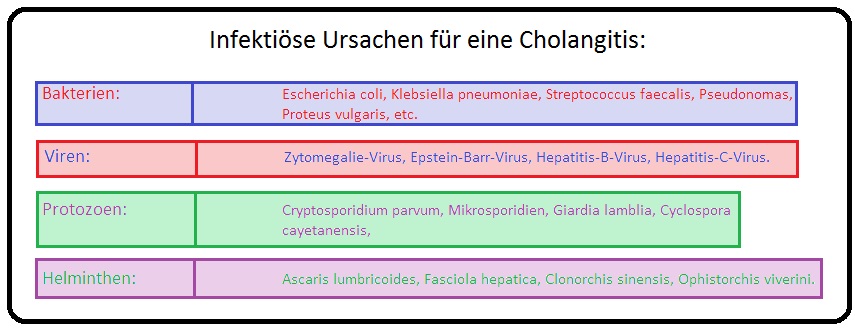 345 Infektiöse Ursachen für eine Cholangitis