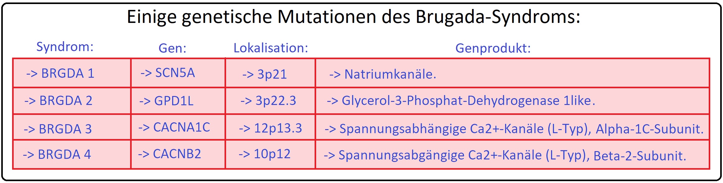 454 Einige genetische Mutationen des Brugada Syndroms