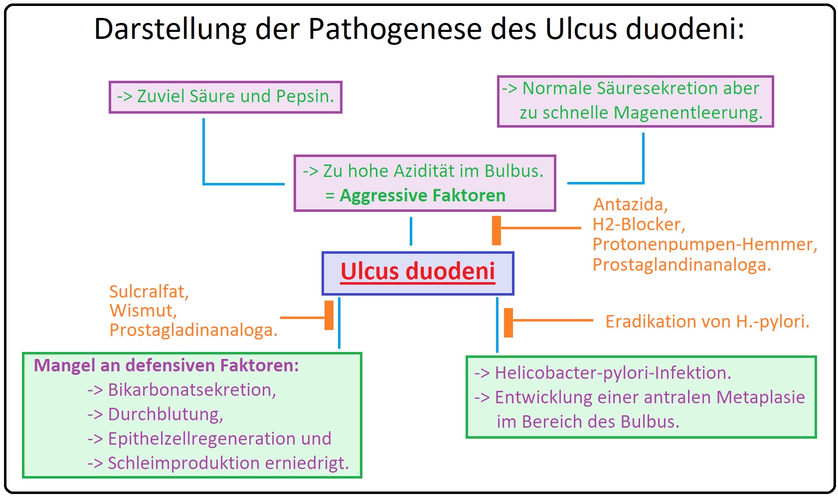 573 Darstellung der Pathogenese des Ulcus duodeni