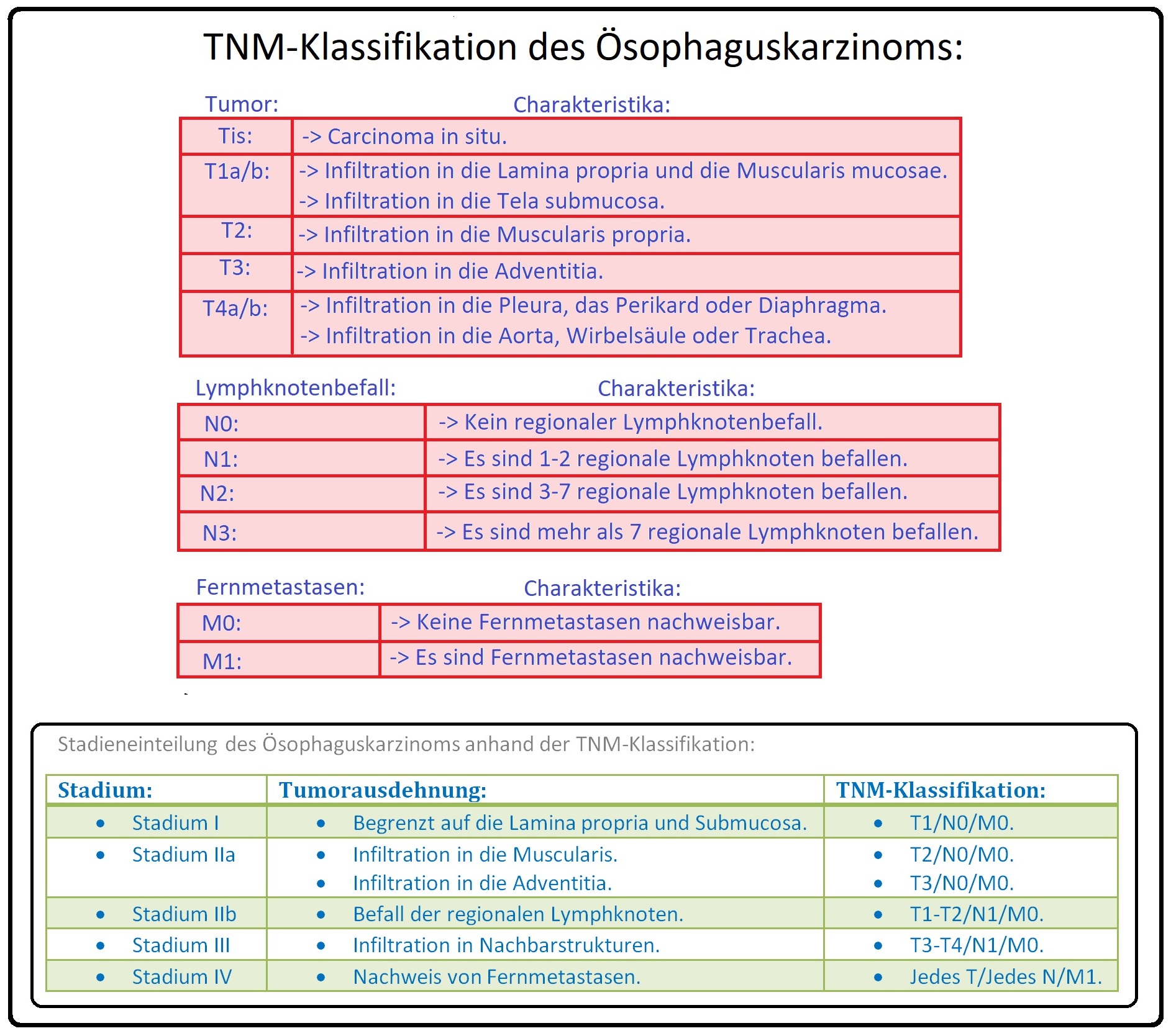 608 TNM Klassifikation und Stadieneinteilung des Ösophaguskarzinoms