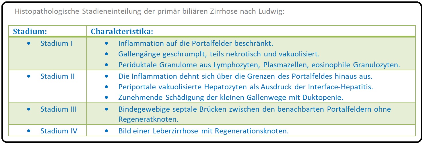732 Histopathologische Stadieneinteilung der primär biliären Zirrhose nach Ludwig