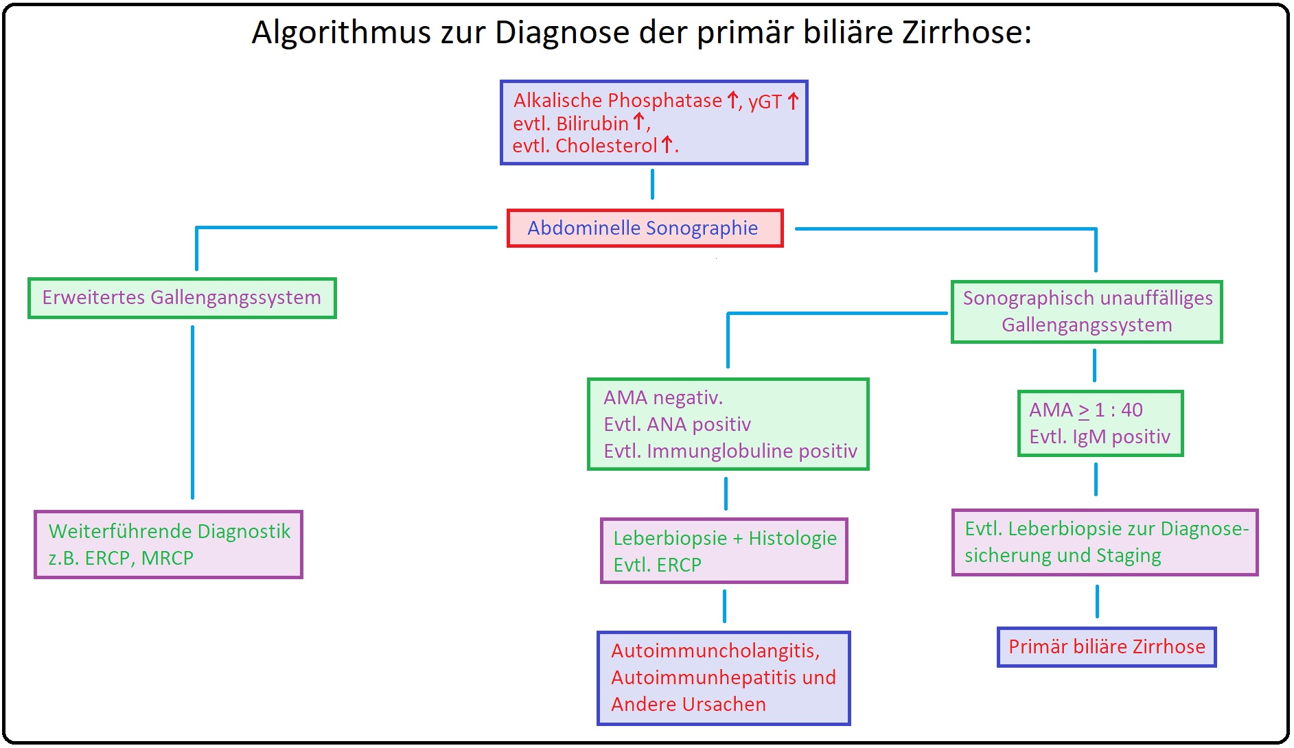 733 Algorithmus zur Diagnose der primär biliären Zirrhose