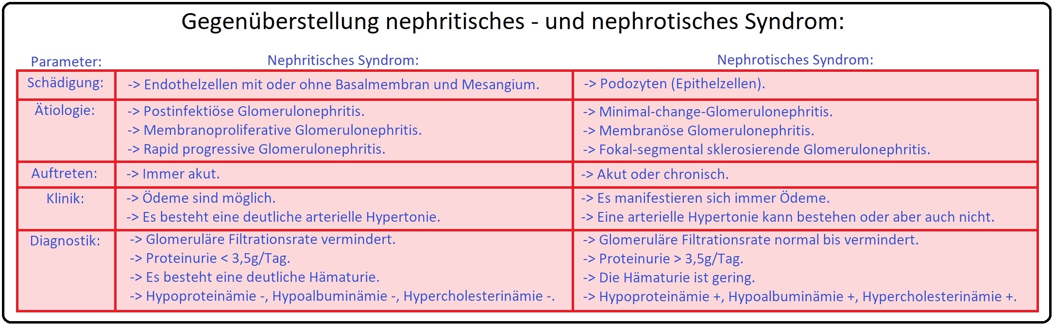 809 Gegenüberstellung nephritisches   und nephrotisches Syndrom