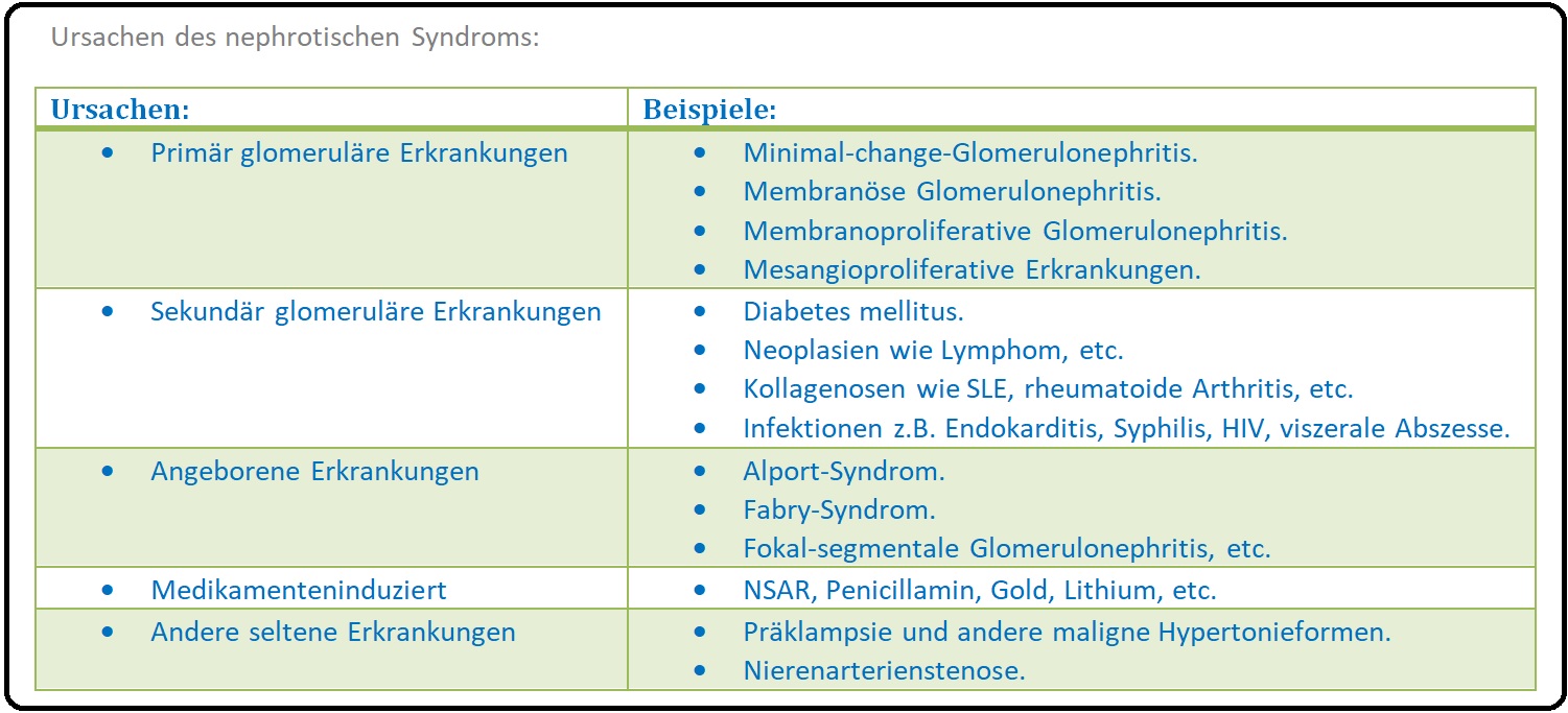 811 Ursachen des nephrotischen Syndroms