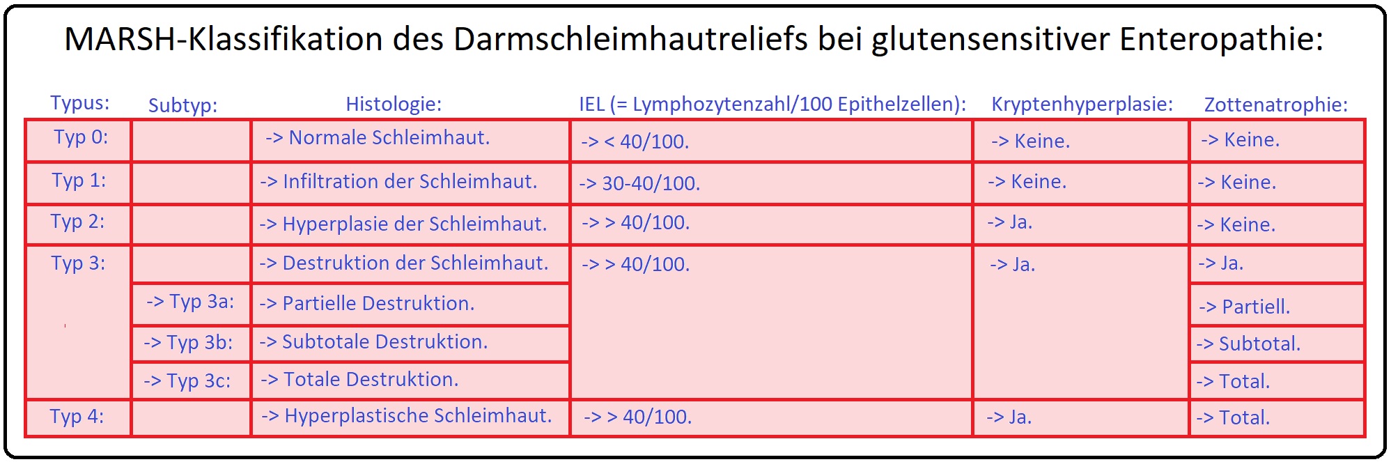 869 MARSH Klassifikation des Schleimhautreliefs bei glutensensitiver Enteropathie