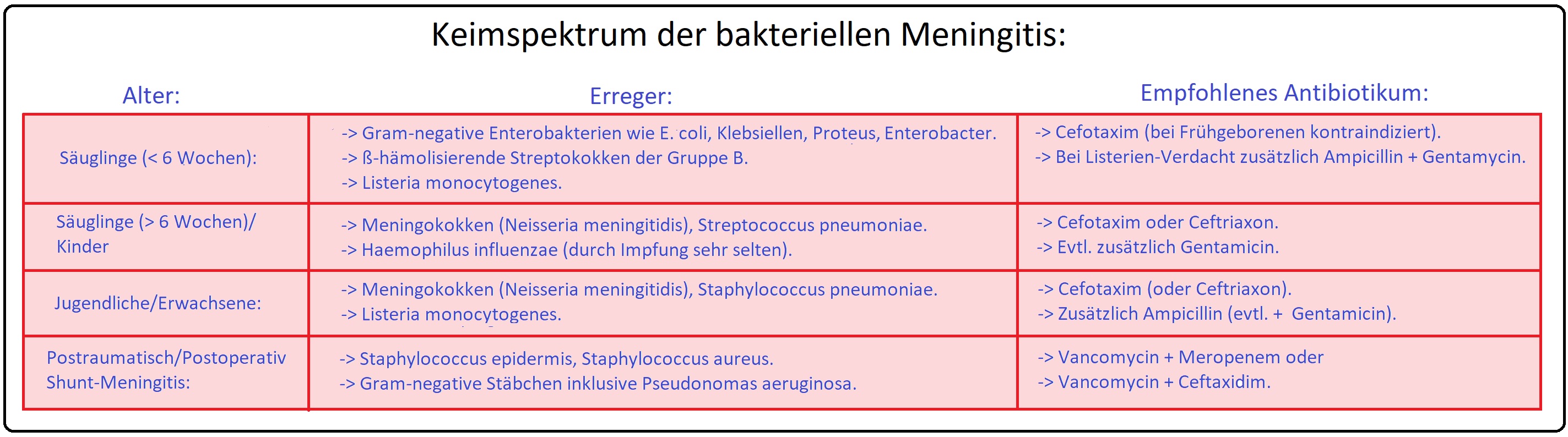 025 Keimspektrum der bakteriellen Meningitis