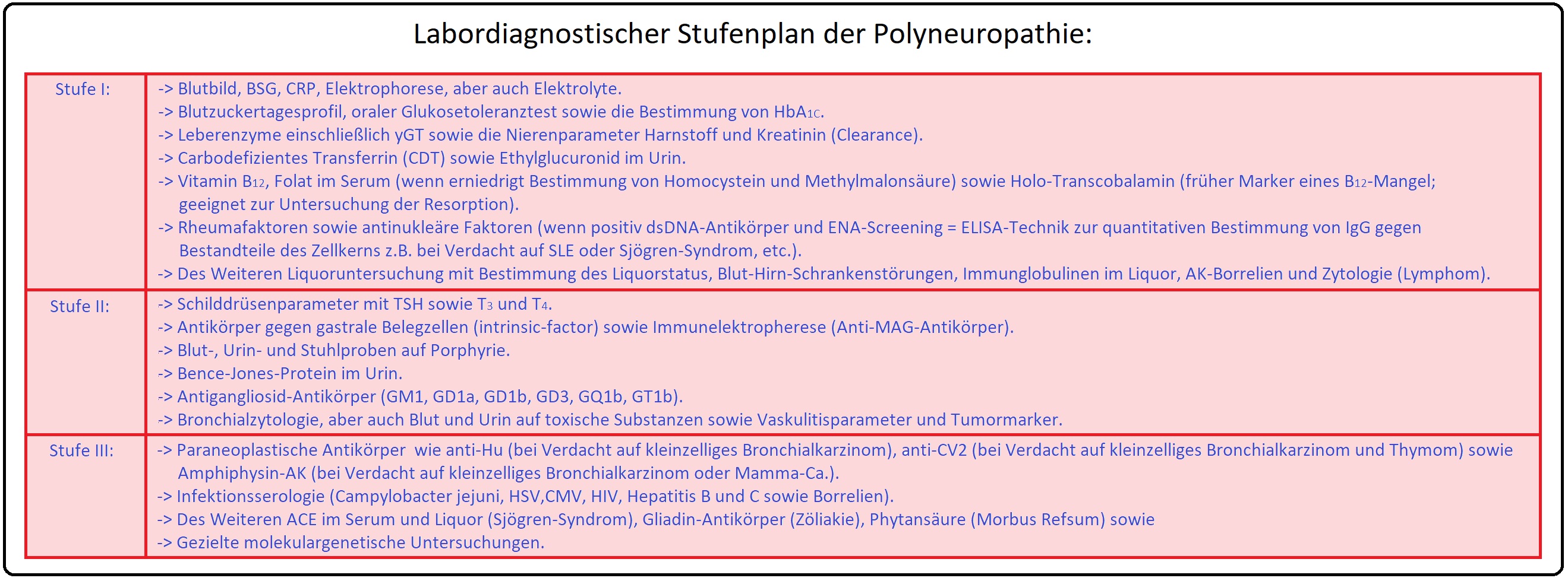 18 Labordiagnostischer Stufenplan der Polyneuropathie
