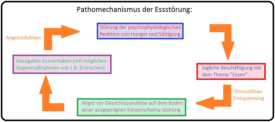 294 Pathomechanismus der Essstörung