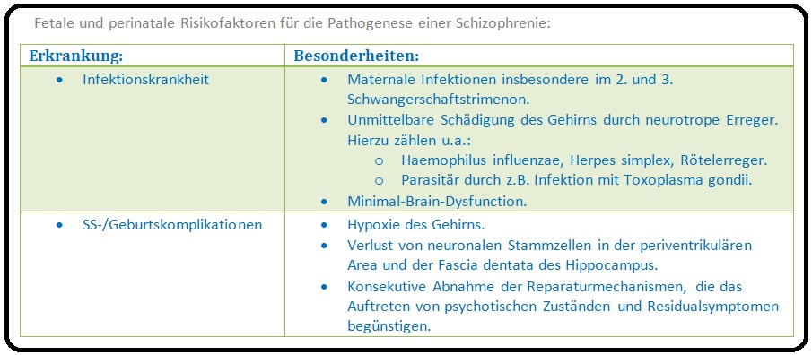 526 Fetale und perinatale Risikofaktoren für die Pathogenese einer Schizophrenie
