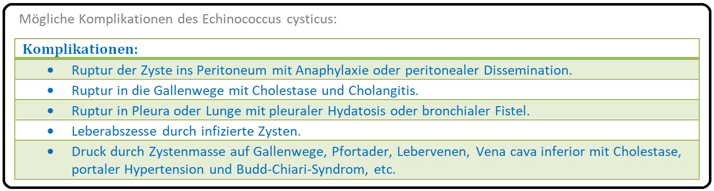 763 Mögliche Komplikationen des Echinococcus cysticus